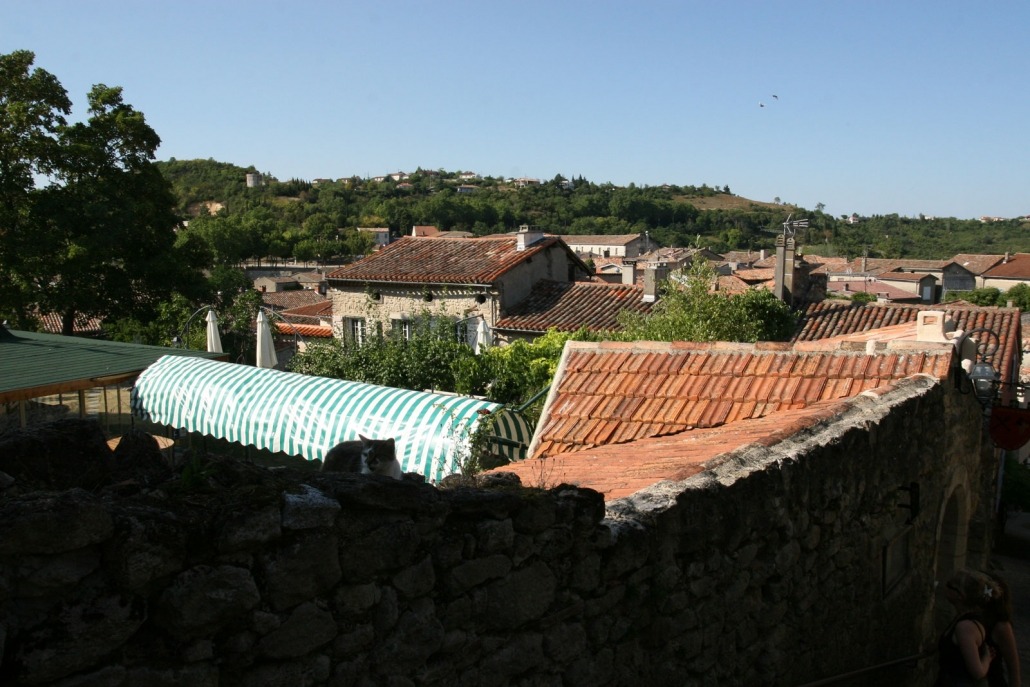 Daken en kat in het dorp Lautrec in Frankrijk