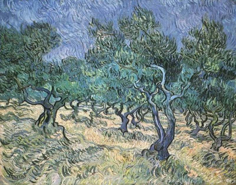 Schilderij met olijfbomen van Van Gogh