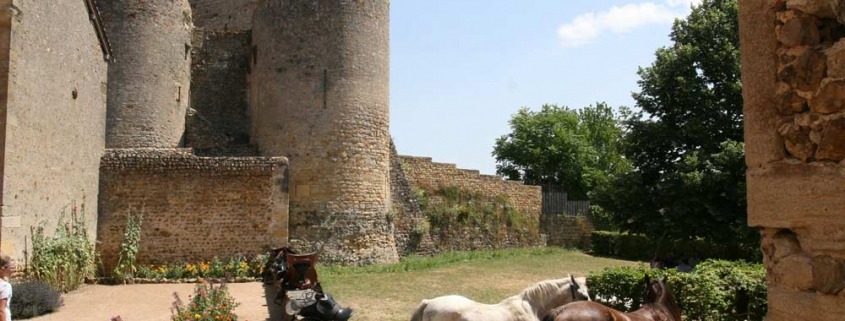 Semur-en-Brionnais-bourgondie-kasteel-paarden-dorp-1000