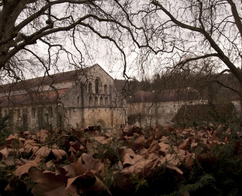 De abdijkerk van Fontenay