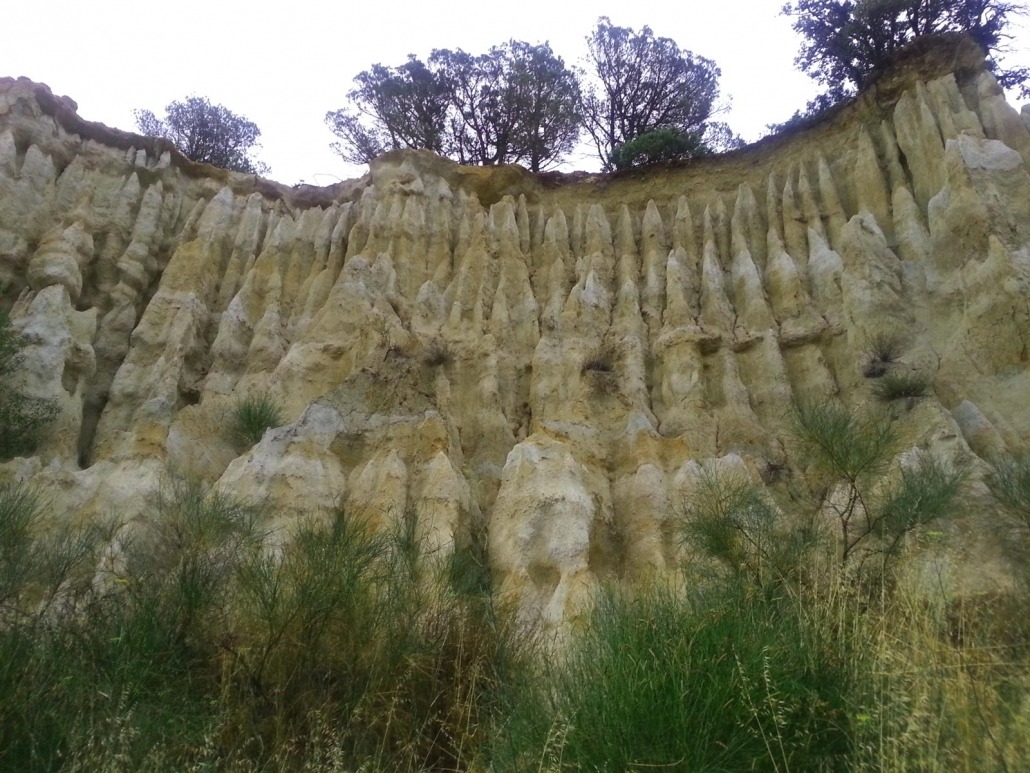 Orgues de l'Ille sur Tet rotsen Languedoc-Roussillon Frankrijk boom