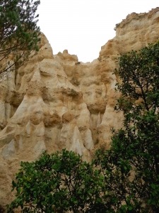 Orgues de l'Ille sur Tet rotsen Languedoc-Roussillon Frankrijk detail