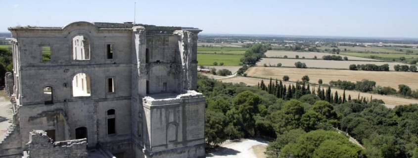 Uitzicht op de abdij van Montmajour vanaf de toren