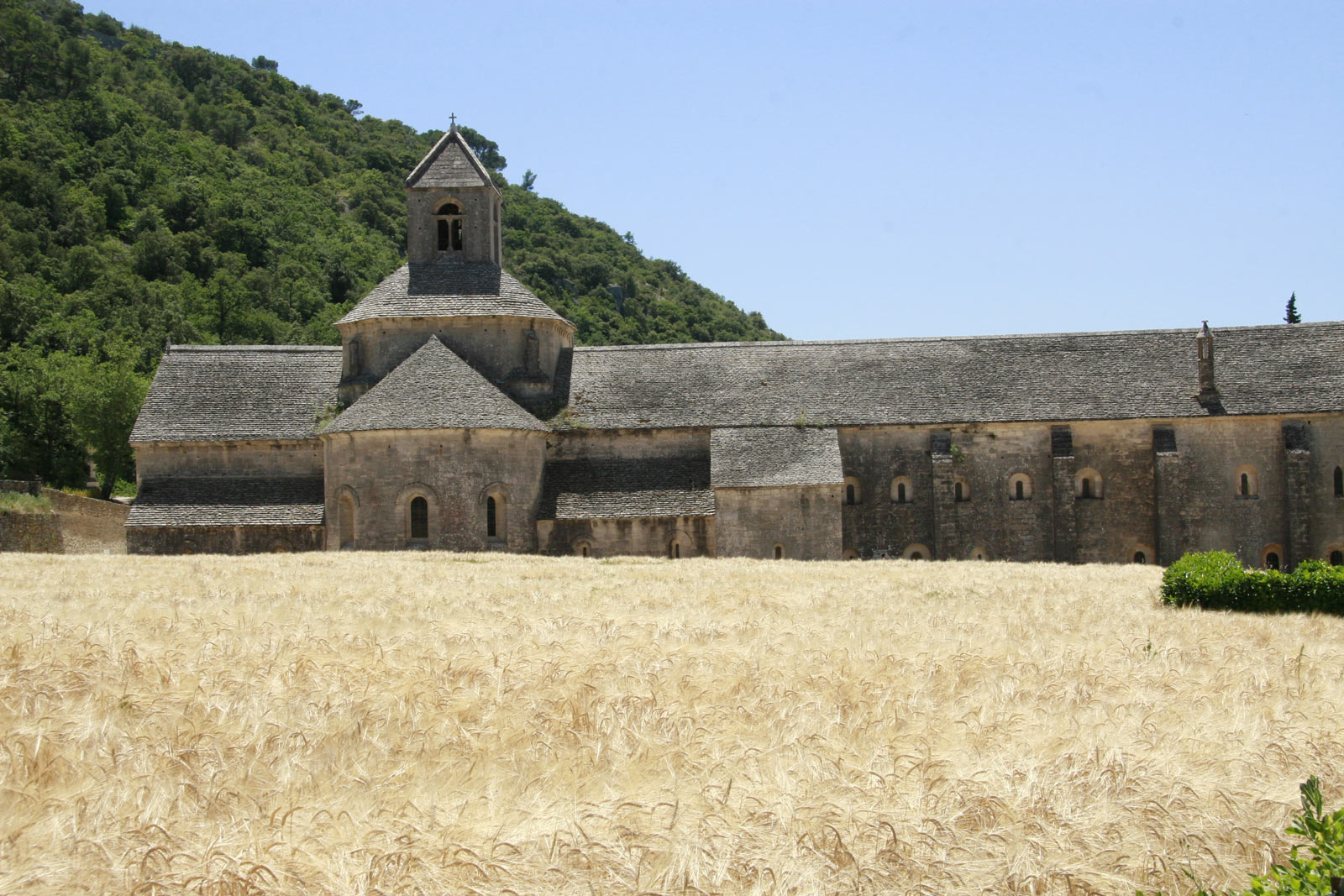 Abbaye de Sénanque in de Provence is een Romaans klooster dat midden in de natuur ligt.