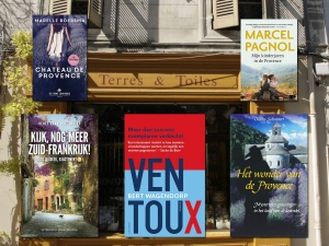 Top 5 boeken over de Provence