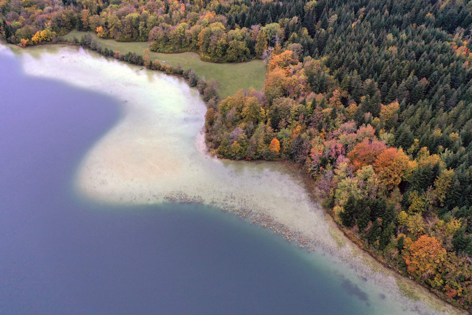 Quatre lac in de Jura