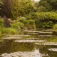 De brug in de Japanse tuin van Monet in Giverny