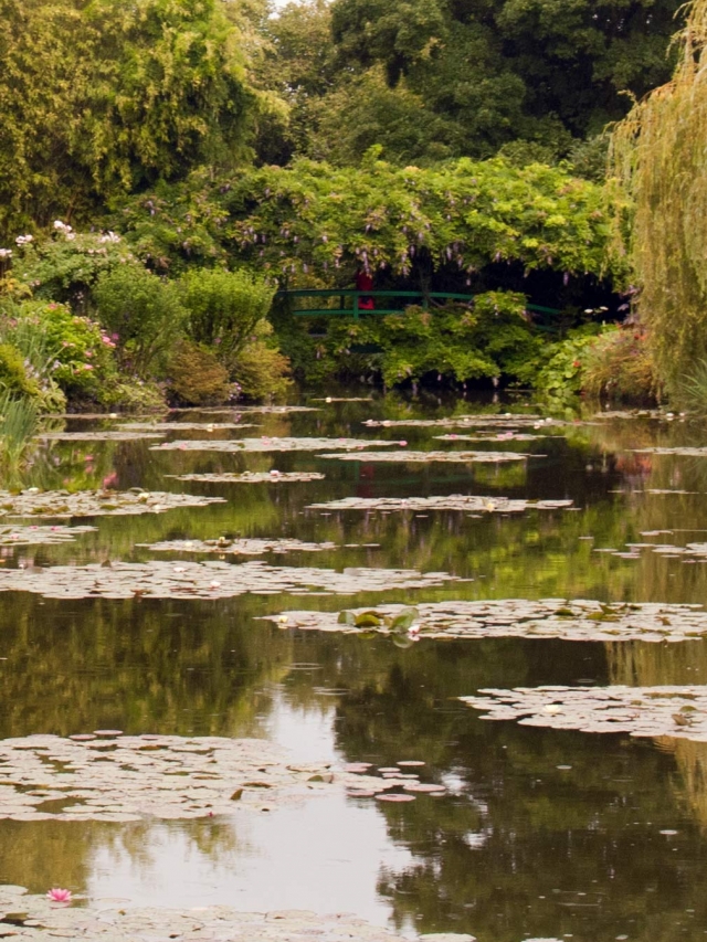 Giverny: De briljante tuinen van Claude Monet ****