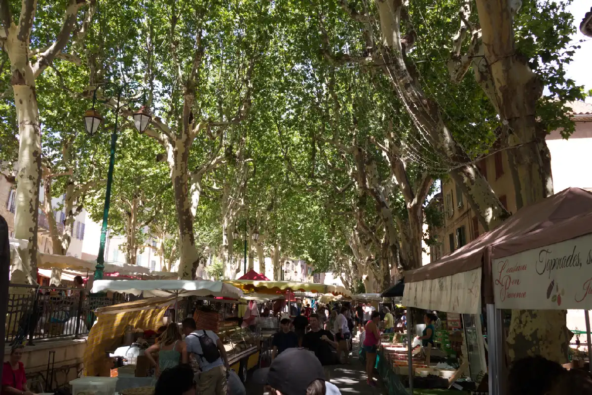 Markt met platanen in Cotignac in de Provence, Frankrijk