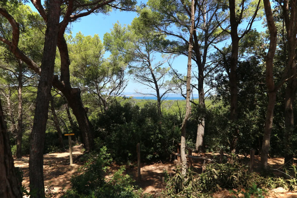 Uitzicht vanaf de vuurtoren op het eiland Porquerolles.